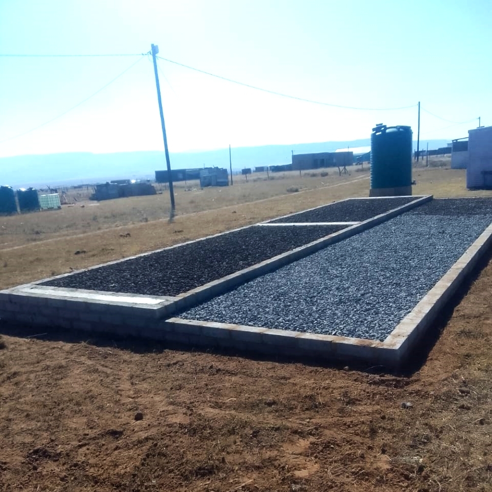 r img 20250925 wa0016