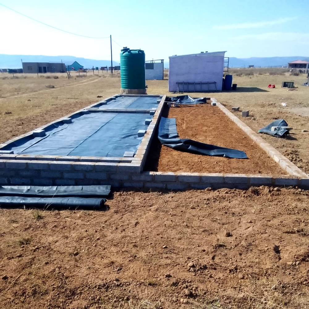 r img 20250925 wa0019